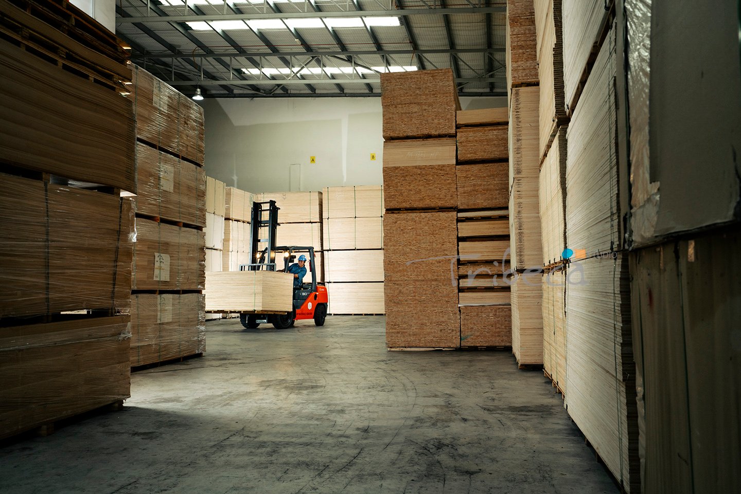 chipboard factory warehouse, photo by Tribeca Studio